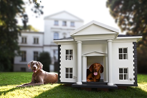 Stylish House For Your Dogs - Dog Houses - Design