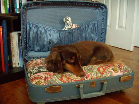 Tự làm giường ngủ cho thú cưng từ vali cũ - Trang trí - Ý tưởng - Thiết kế - DIY - Vali