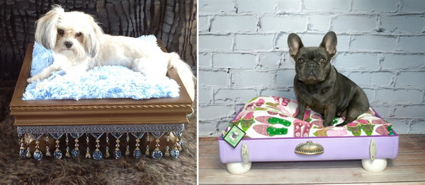 Make a Statement in Home with Luxury Dog Beds [PHOTOS] - Doggie Couture Shop - Dog Bed - For Pet - Photo