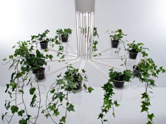 Flora chandelier takes plants to the ceiling