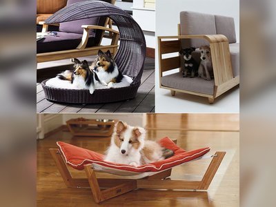 Modern & Fun Furniture for Pets