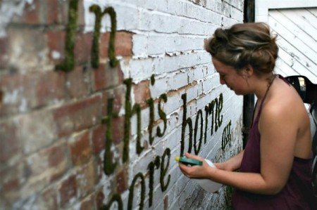 Moss graffiti ศิลปะตกแต่งกำแพงแบบใกล้ชิดธรรมชาติ