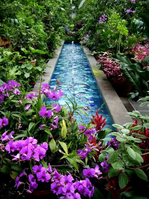 ไอเดียการแต่งสวนด้วย"ดอกไม้สีม่วง" สวยเริ่ดเชียว! - ไอเดียแต่งสวน - จัดสวนสวย - ดอกไม้สีม่วง - จัดแต่งสวน - สวนดอกไม้สีม่วง
