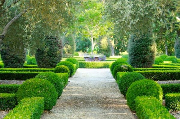 Mảnh vườn đẹp hơn với bờ rào từ cây xanh - Trang trí - Ý tưởng - Thiết kế - Xu hướng - Ngoài trời - Vườn - Hàng rào cây xanh