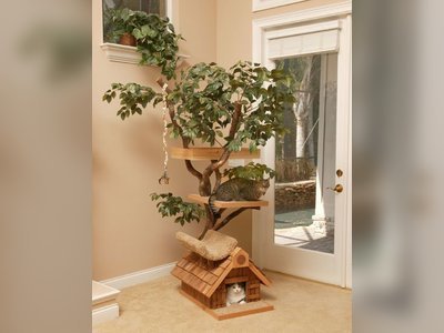 Unique Cat Tree Houses with Real Trees from Pet Tree House