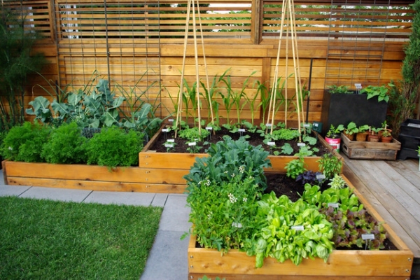 How to Grow Stylish Edible Gardens - Design - Decoration - Ideas - Furniture - Garden