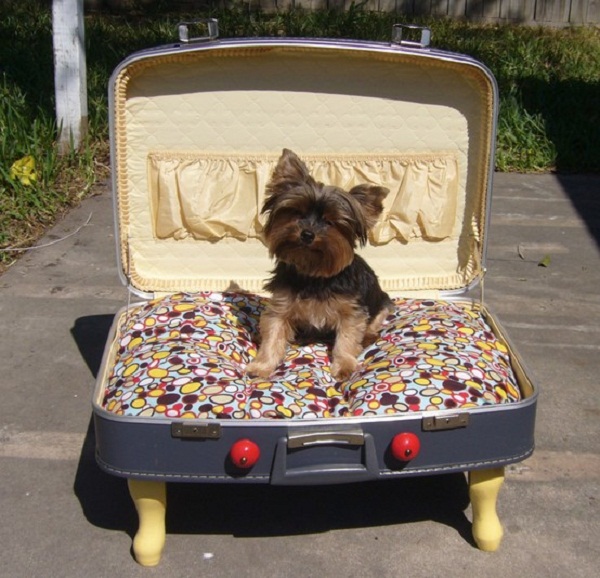 Tự làm giường ngủ cho thú cưng từ vali cũ - Trang trí - Ý tưởng - Thiết kế - DIY - Vali