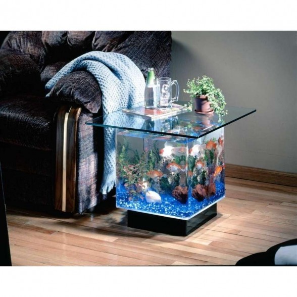 Fabulous Fish Tank-Themed Coffee Table Designs [PHOTOS] - Decor Report