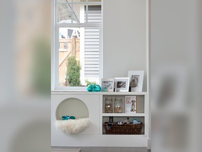 Pet-Friendly & Stylish Dog and Cat Homes