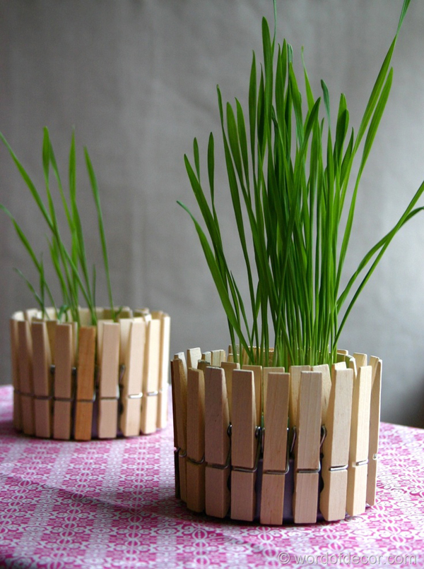 DIY: Chậu cây tái chế thân thiện với môi trường. - DIY - Ý tưởng - Sáng tạo - Chậu cây