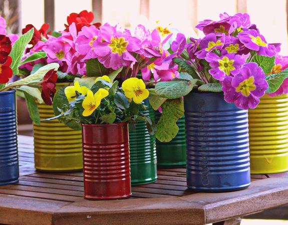รีไซเคิลกระป๋องเป็นกระถาง Colorful สวยราคาประหยัด! - รีไซเคิลกระป๋อง - กระถางจากกระป๋อง - DIY กระป๋องใช้แล้ว - ประดิษฐ์กระถาง - กระถางต้นไม้ - ของแต่งบ้าน - แต่งสวนสวย - กระถางต้นไม้