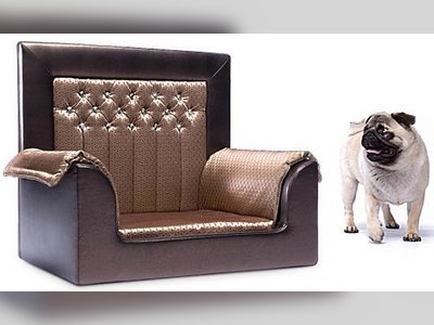 Swarovski-studded throne for rich pets
