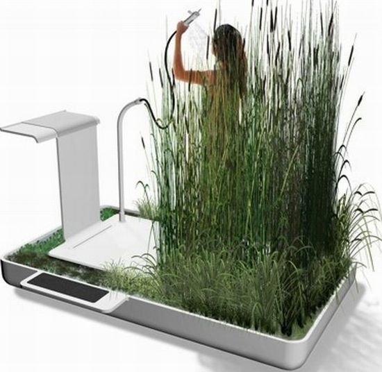 Phyto-Purification Bathroom adds meaning to your shower
