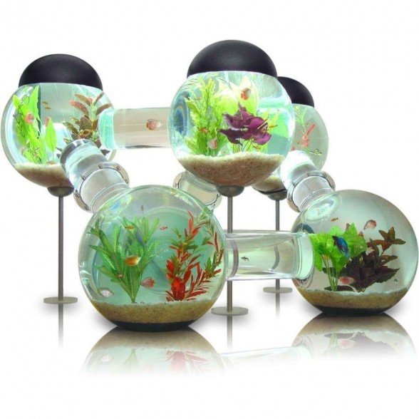 Fabulous Fish Tank-Themed Coffee Table Designs [PHOTOS]