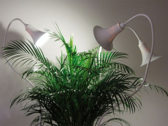 Spotlights for my plants - Lights - Plants