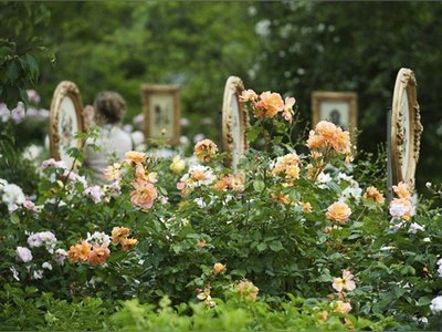 Spécial Angers : de beaux jardins à visiter