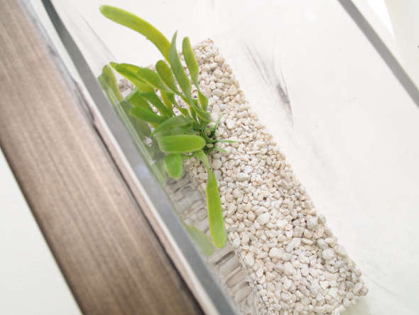 Tự Làm Hồ Cá Khung Tranh Đầy Chất Nghệ Thuật - DIY - Bể cá - Ý tưởng - Trang trí