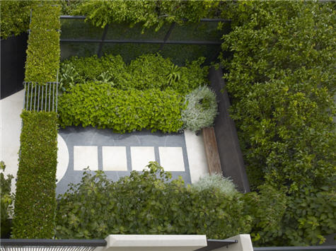 SF Residence Landscaping by Lutsko Associates - Lutsko Associates - Garden