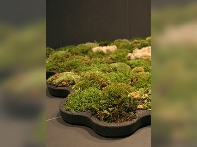 Immaculate Mini Lawn In Your Loo