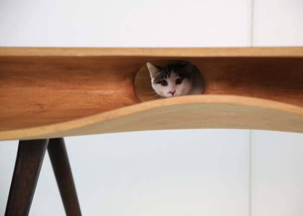 CATable: sự kết hợp tuyệt vời giữa bàn làm việc và chỗ nghỉ ngơi cho mèo - Thiết kế - Nội thất - Dành cho mèo
