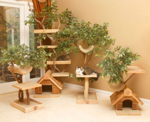 Unique Cat Tree Houses with Real Trees from Pet Tree House - Cat Tree Houses - Pet
