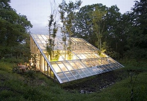 Step inside my greenhouse house