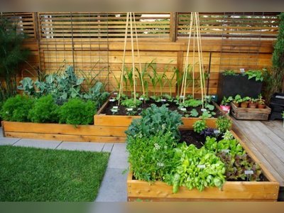 Hogyan tervezzünk stílusos és "ehető" kertet?
