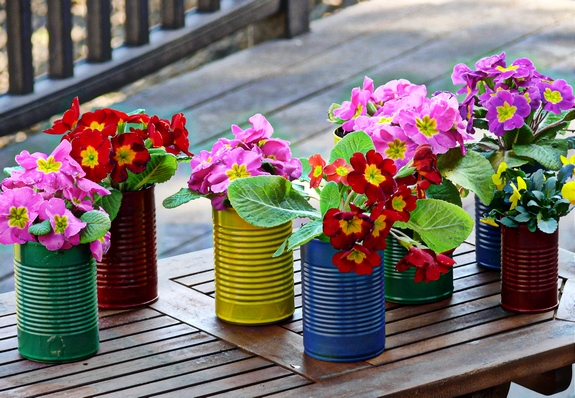 รีไซเคิลกระป๋องเป็นกระถาง Colorful สวยราคาประหยัด! - รีไซเคิลกระป๋อง - กระถางจากกระป๋อง - DIY กระป๋องใช้แล้ว - ประดิษฐ์กระถาง - กระถางต้นไม้ - ของแต่งบ้าน - แต่งสวนสวย - กระถางต้นไม้