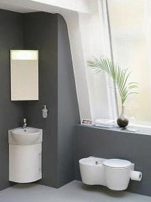 Design Dilemma: Small Bathroom, Big Ideas - Bathroom