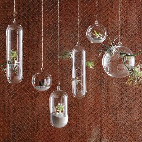 Creative Hanging Garden by Shane Powers for West Elm