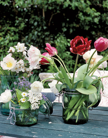 A Season for Tulips - Tulips - Ideas