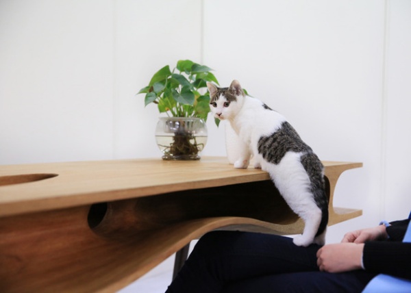 CATable: sự kết hợp tuyệt vời giữa bàn làm việc và chỗ nghỉ ngơi cho mèo - Thiết kế - Nội thất - Dành cho mèo