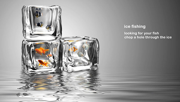 Trang Trí Nội Thất Bằng Cá Đông Lạnh?! - Trang trí - Bể cá - Sáng tạo - Thiết kế