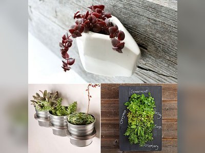 Unique Wall Planters for Urban Spaces