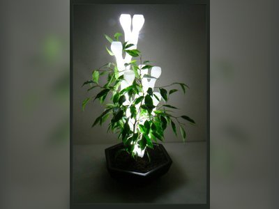IVY, The Organic Lamp Shade