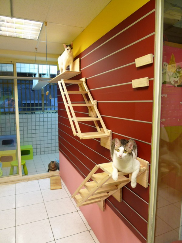 Catswall - Super Cute Modular Cat Climbing Wall For Pets