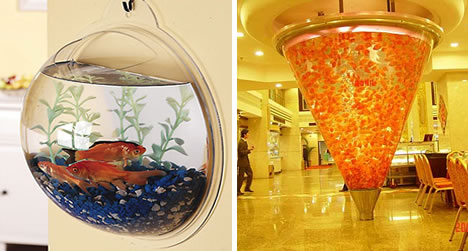 Amazing and Unusual Aquariums - Decoration - Fish Tanks - Aquarium