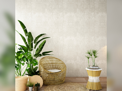 Decorate and Brighten Up Your Home with Indoor Plants