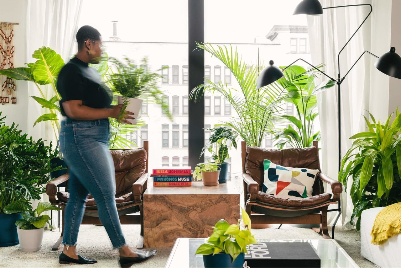 It’s Time to Prune Your Houseplants: Here’s How the Experts Do It