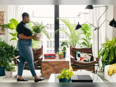 It’s Time to Prune Your Houseplants: Here’s How the Experts Do It