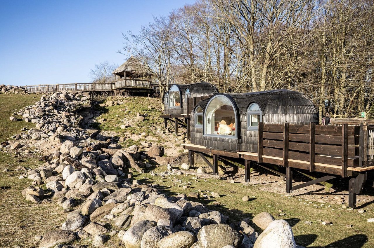 Spend the Night With Lions, Tigers, and Bears in These Prefab Glamping Pods