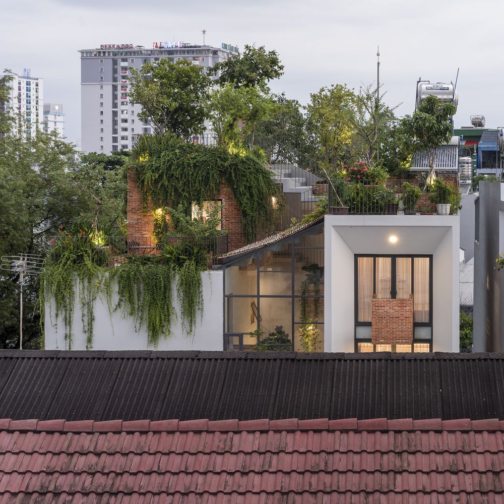 The entire rooftop of the building was transformed into a beautiful and lush garden