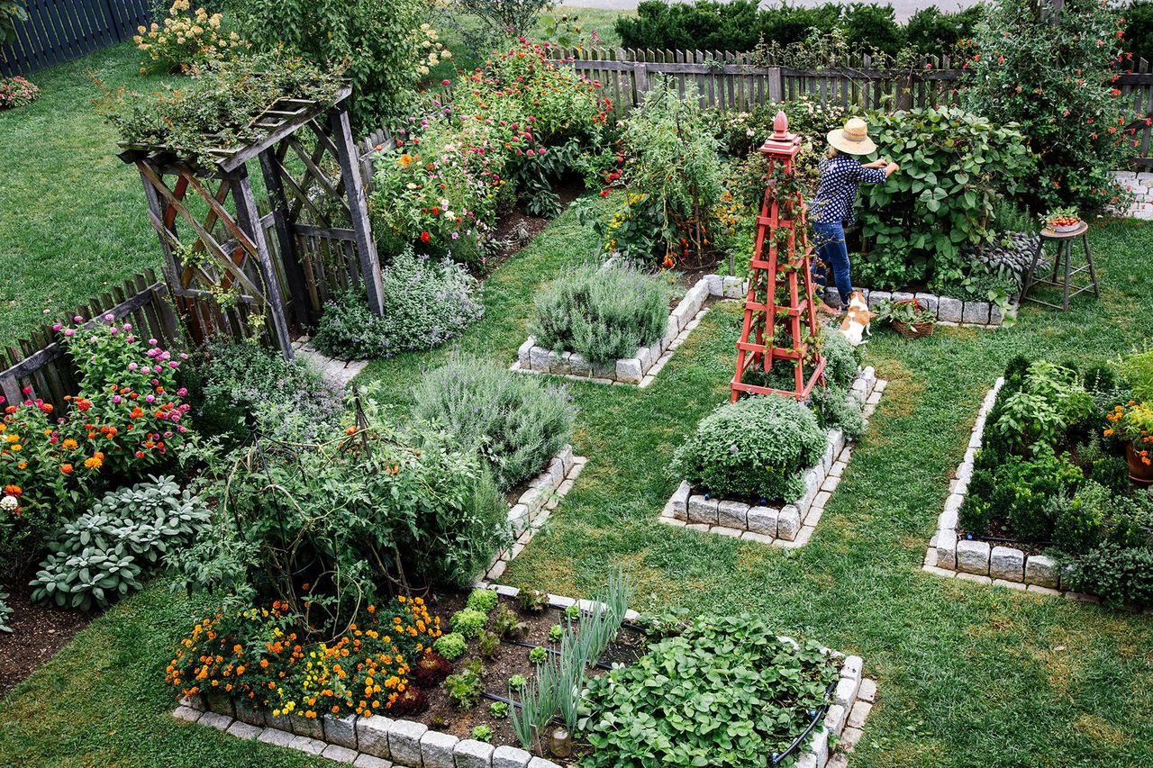 Planting a Victory Garden Can Help Fight Global Warming