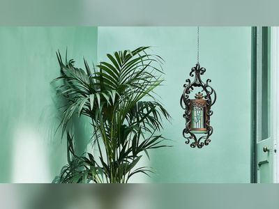 Color psychologist reveals why we're swapping gray for brighter colors in our home this year