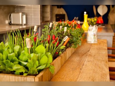Design a Small Garden for Your Vegetable Garden
