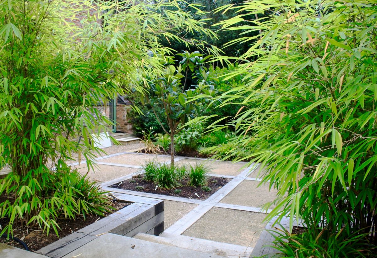 The five garden design mistakes people make when it comes to planting - and how to avoid them
