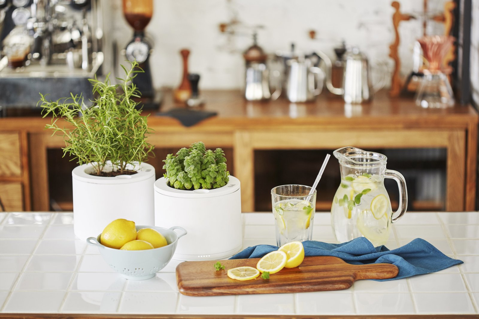 Clueless About Gardening? These 5 Smart Planters Can Help