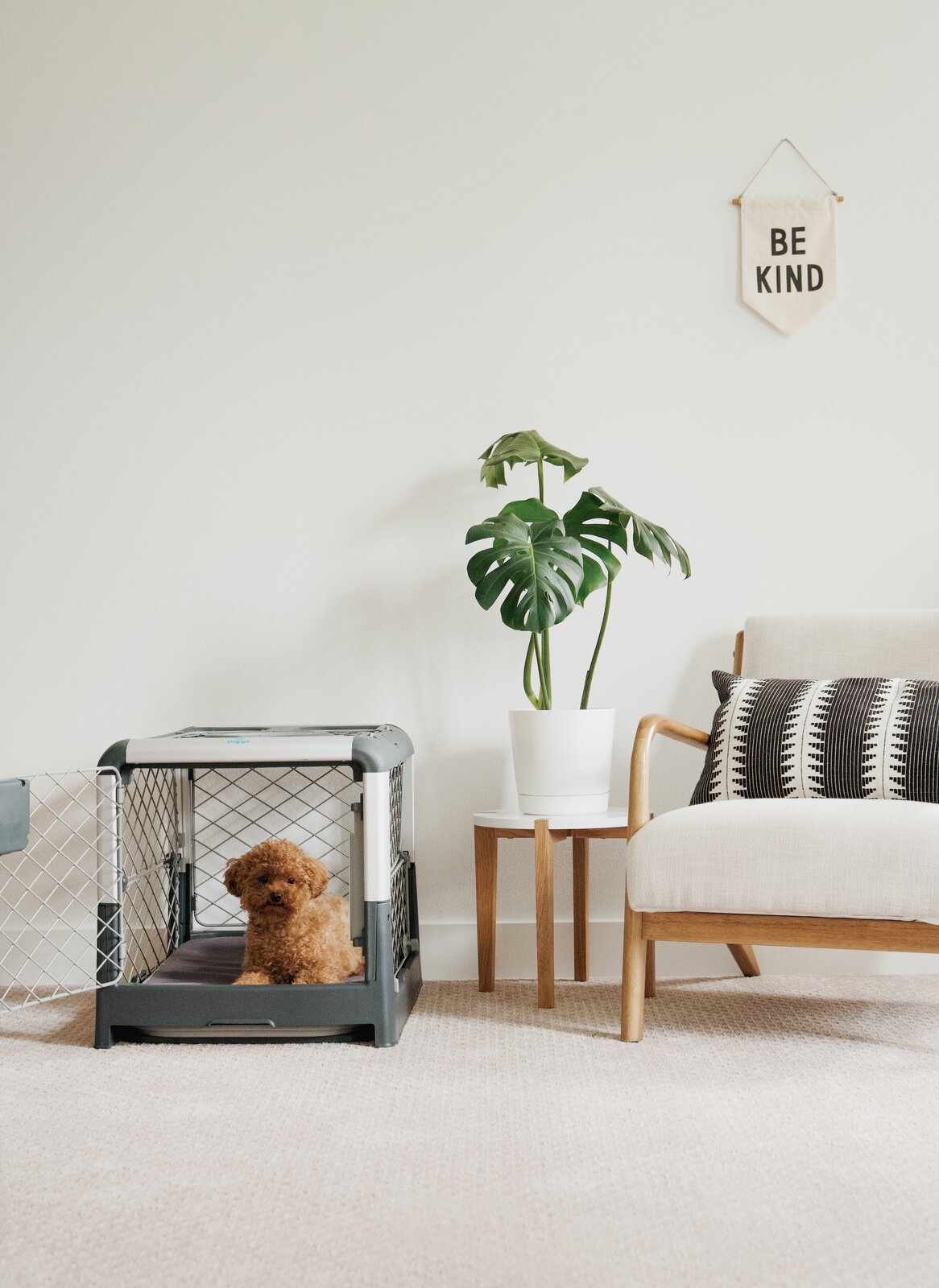 Diggs' Dog Crate Gives Your Furry Friend a Home as Well Designed as Your Own