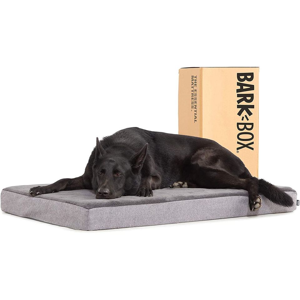 Do Orthopedic Dog Beds Help / Orthopedic Dog Bed Wayfair Ca / Choose