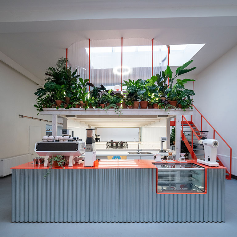 KOGAA Crowns Coffee Hub GROUNDS with a Halo of Plants